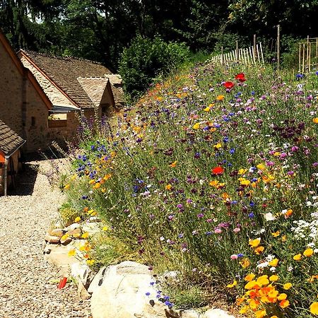 Domaine Des Marequiers Chambre Alchemille Saint-Germain-du-Teil Esterno foto
