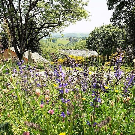 Domaine Des Marequiers Chambre Alchemille Saint-Germain-du-Teil Esterno foto